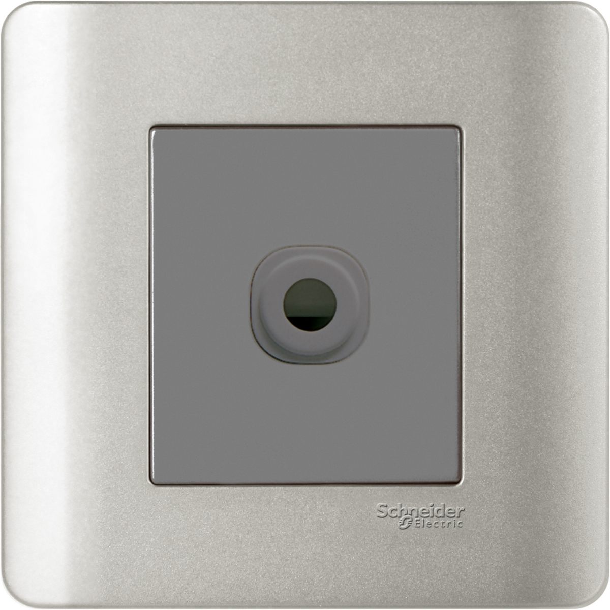 Schneider Electric Zencelo 25A 單位接線蘇 (銀灰色)